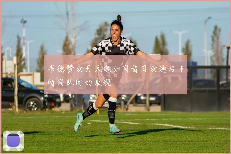 韦德赞麦丹天赋如同昔日麦迪与卡特同队时的表现