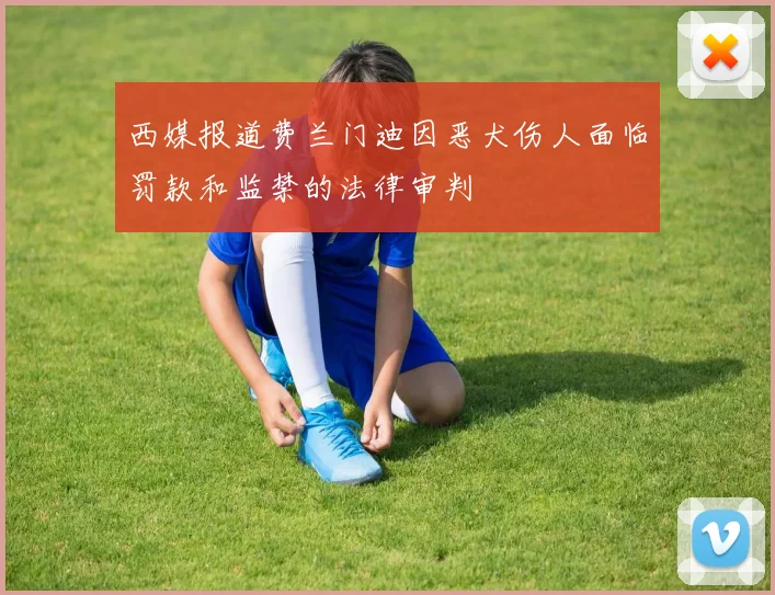 西媒报道费兰门迪因恶犬伤人面临罚款和监禁的法律审判